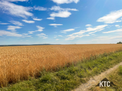 2025-07-05 Heuchelbergtrail - IMG_9147